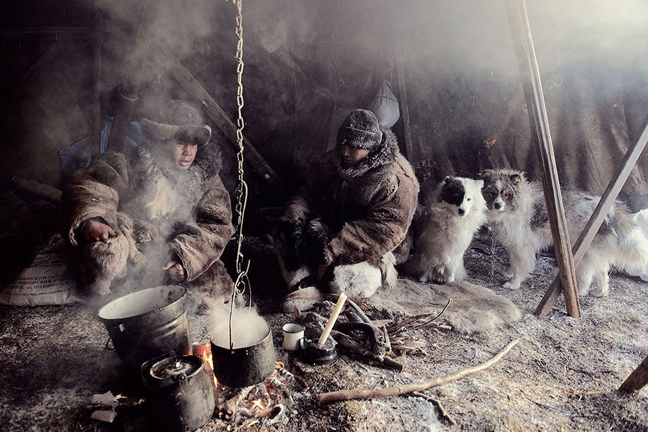 Russia, fur coast, Yukon Fur